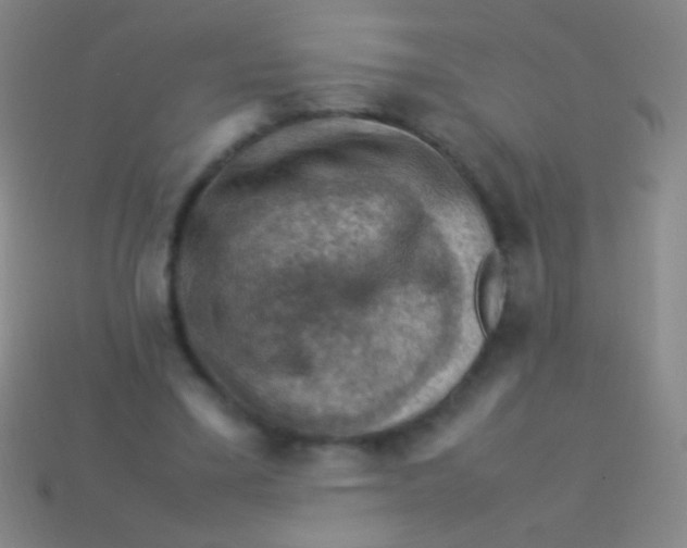 X0000113590395200910161847