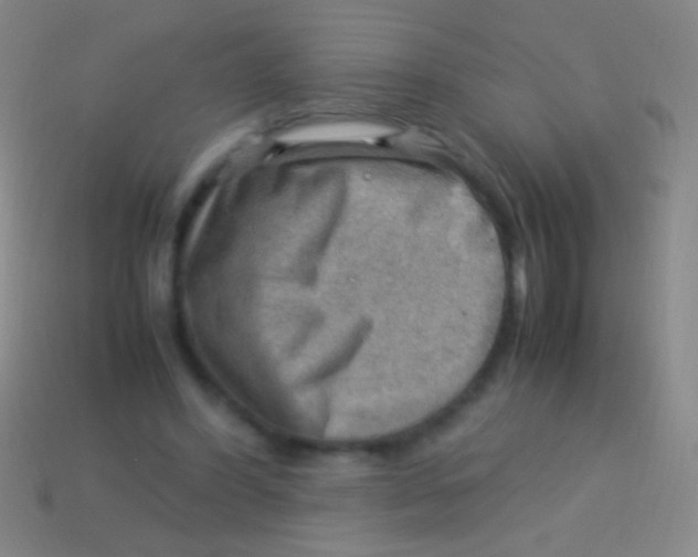 X0000113590396200910161847