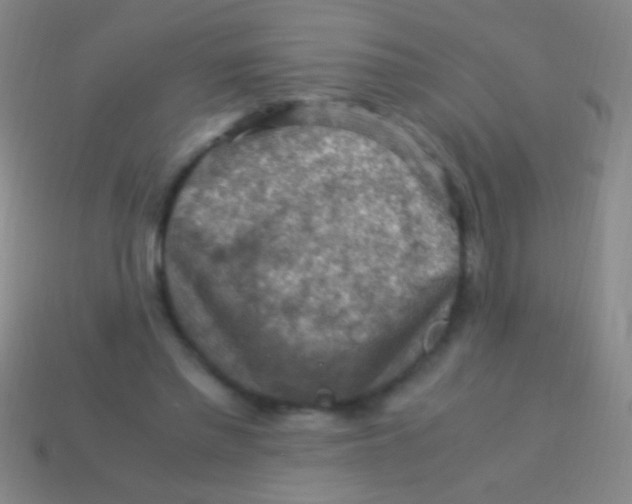 X0000113590397200910161847