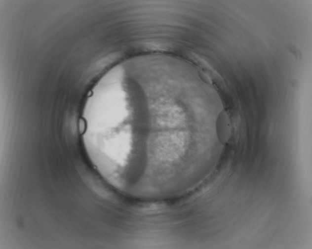 X0000113590398200910161847