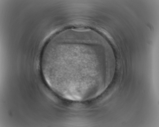 X0000113590399200910161847