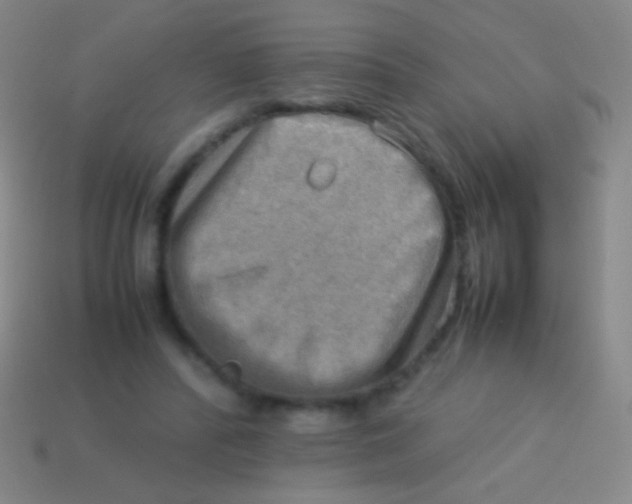 X0000113590400200910161847