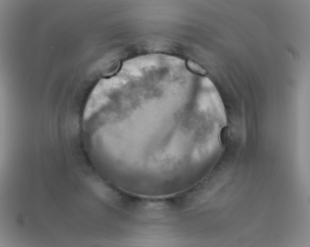 X0000113590401200910161847
