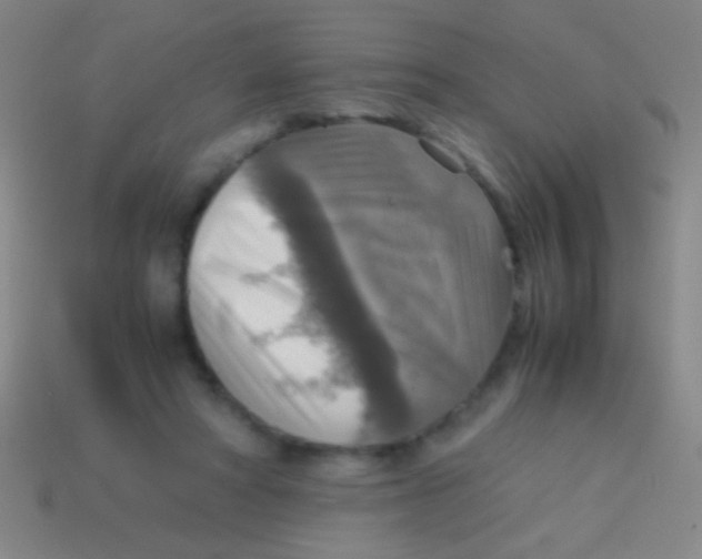 X0000113590402200910161847
