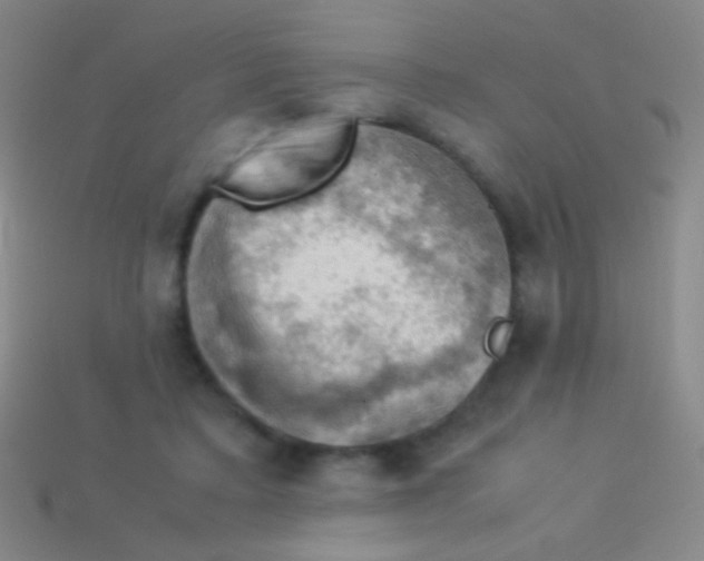 X0000113590403200910161847
