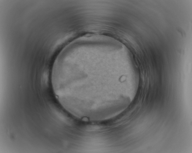 X0000113590404200910161847