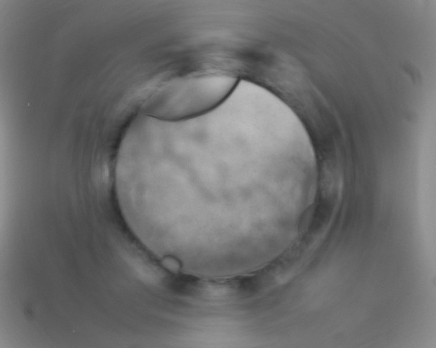 X0000113590405200910161847