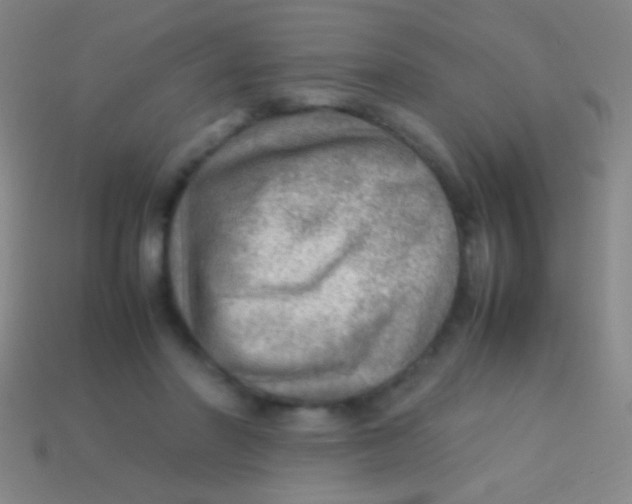 X0000113590406200910161847