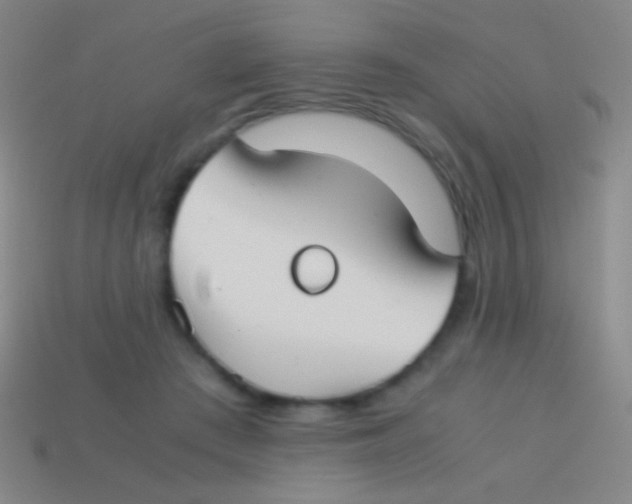 X0000113590409200910161847