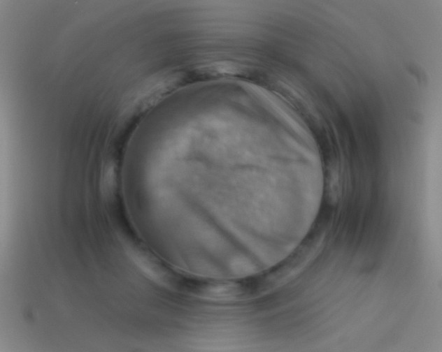 X0000113590410200910161847