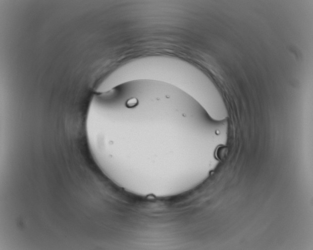 X0000113590411200910161847