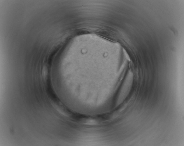 X0000113590412200910161847