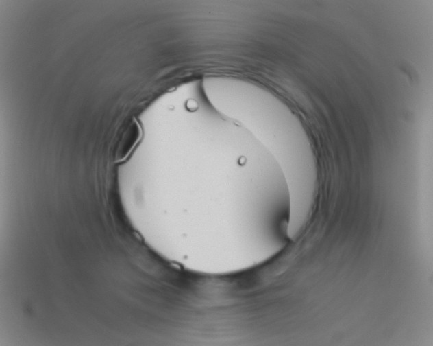 X0000113590413200910161847