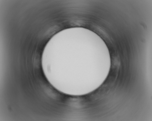 X0000113590414200910161847