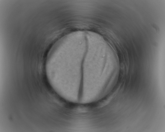 X0000113590416200910161847