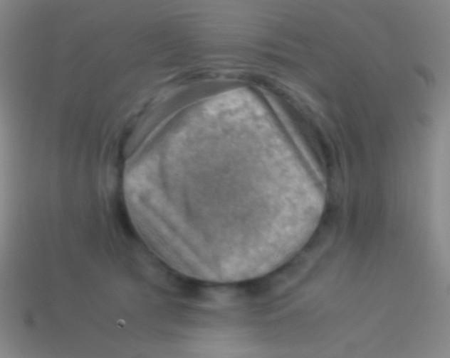 X0000113590417200910161847