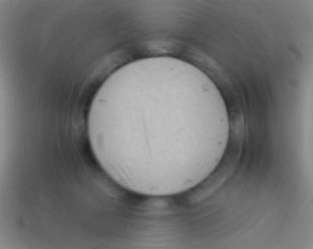 X0000113590418200910161847