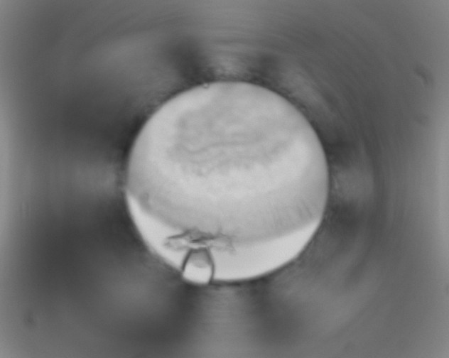 X0000113590419200910161847