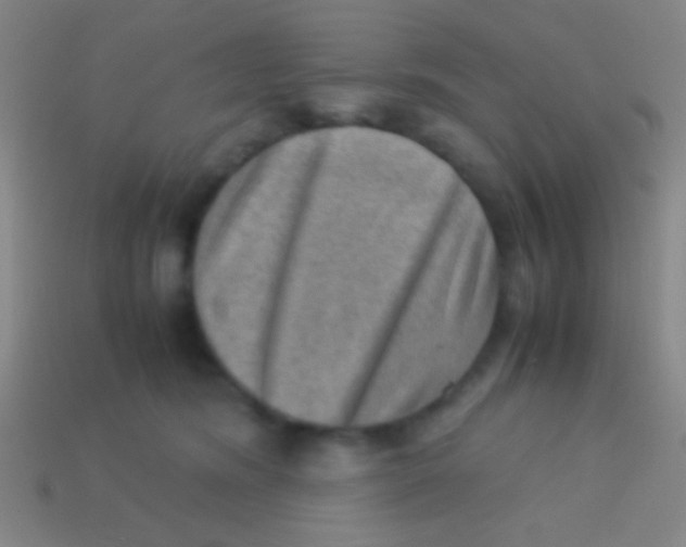 X0000113590420200910161847