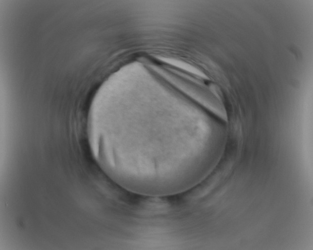 X0000113590421200910161847