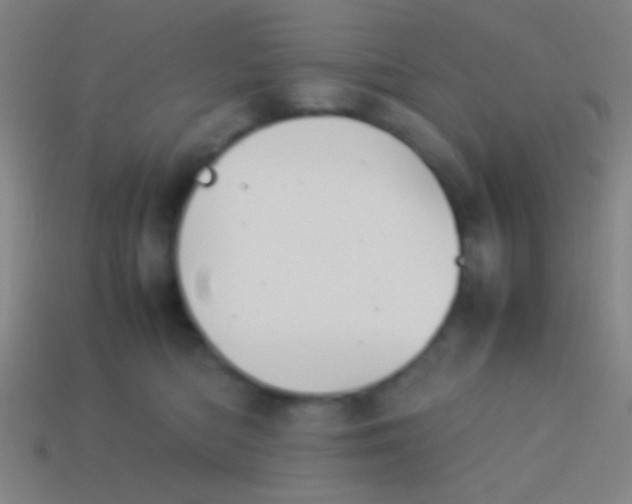 X0000113590422200910161847