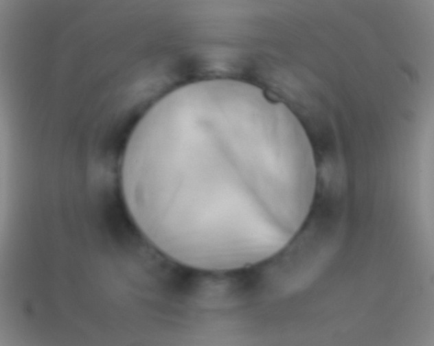 X0000113590423200910161847