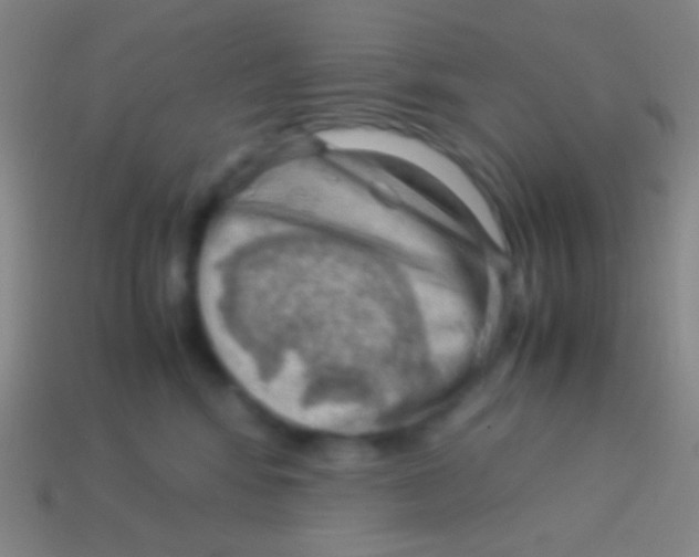 X0000113590424200910161847