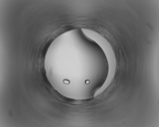 X0000113590425200910161847