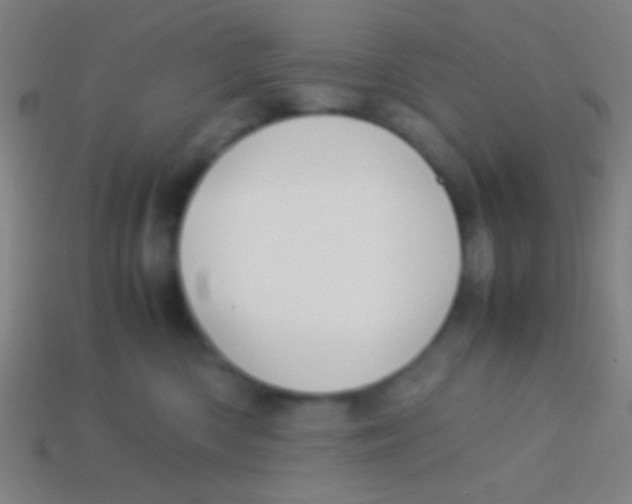 X0000113590426200910161847