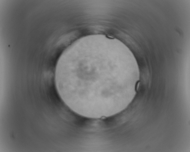 X0000113590427200910161847
