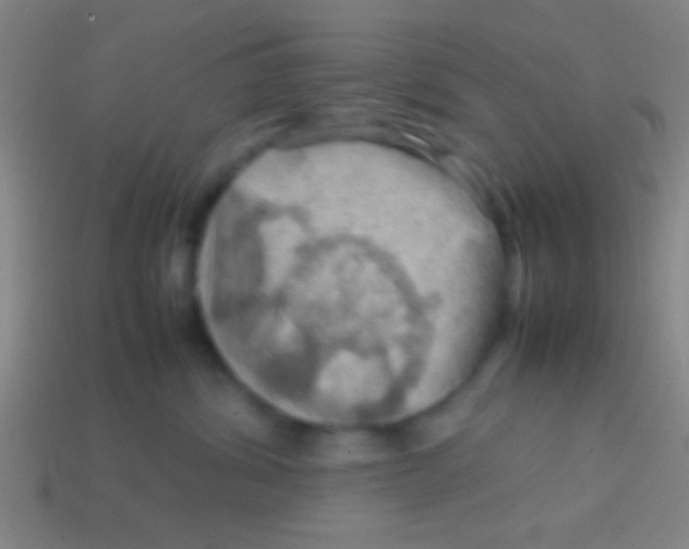X0000113590428200910161847