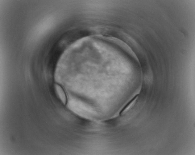 X0000113590429200910161847