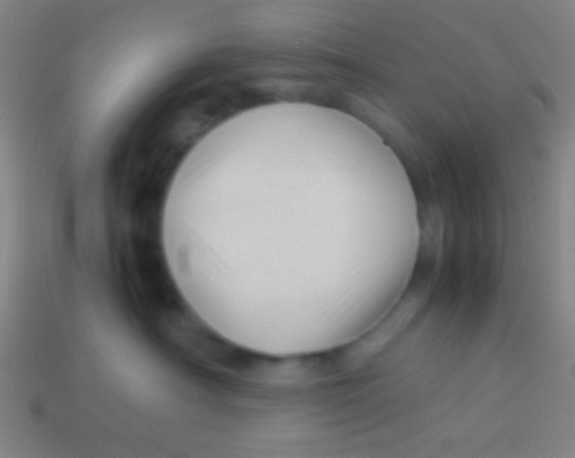X0000113590430200910161847