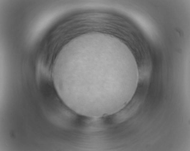 X0000113590431200910161847