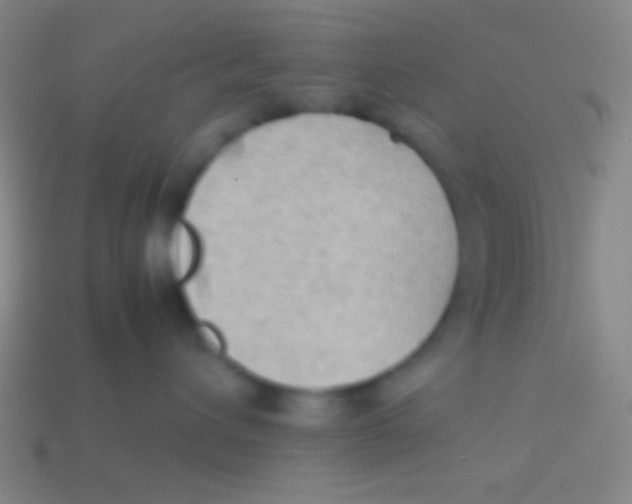 X0000113590432200910161847