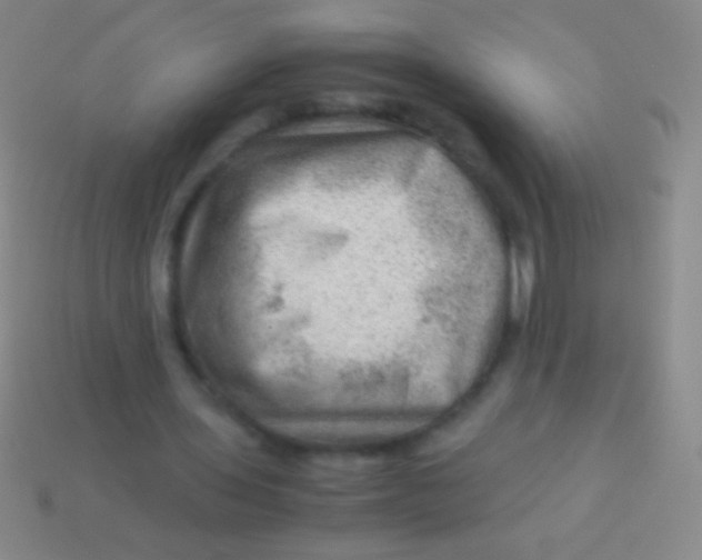 X0000113590435200910161846