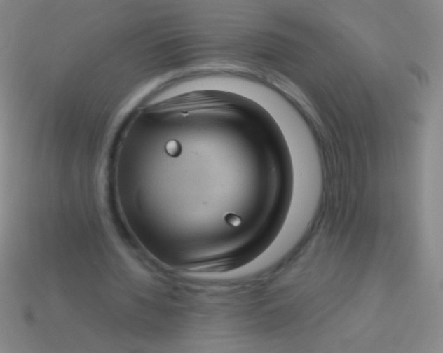X0000113590436200910161846