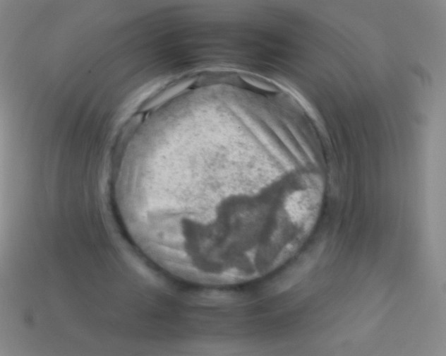 X0000113590437200910161846