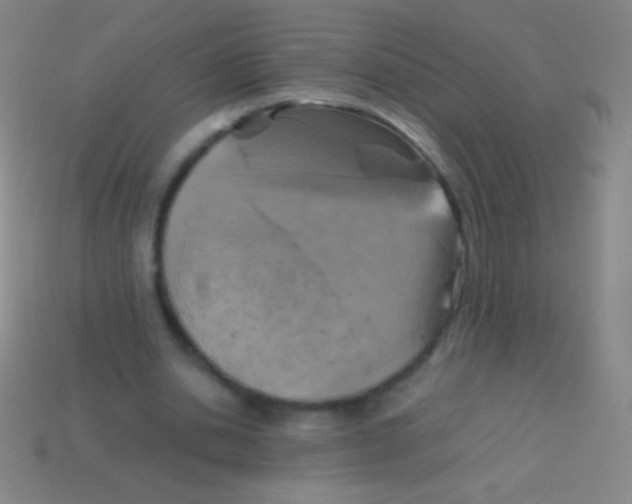 X0000113590438200910161846
