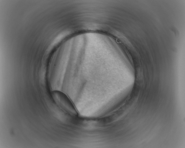 X0000113590440200910161846
