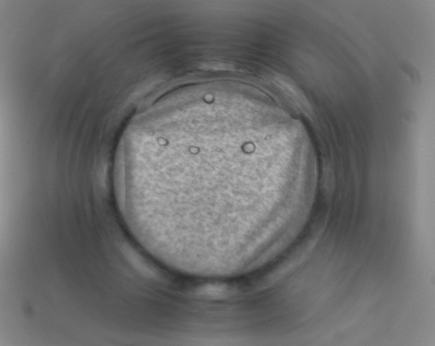 X0000113590441200910161846