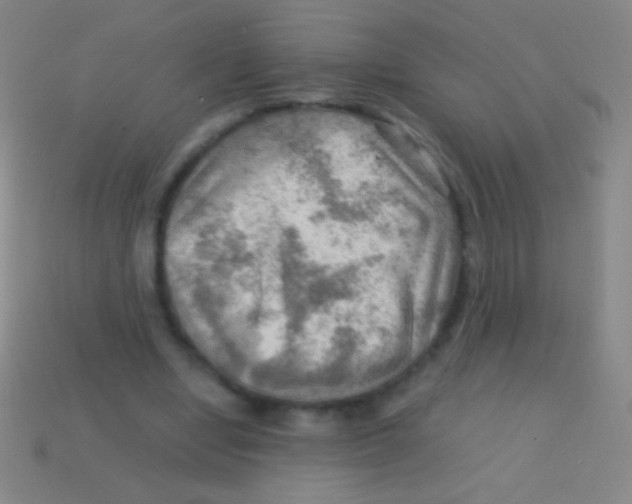 X0000113590442200910161846