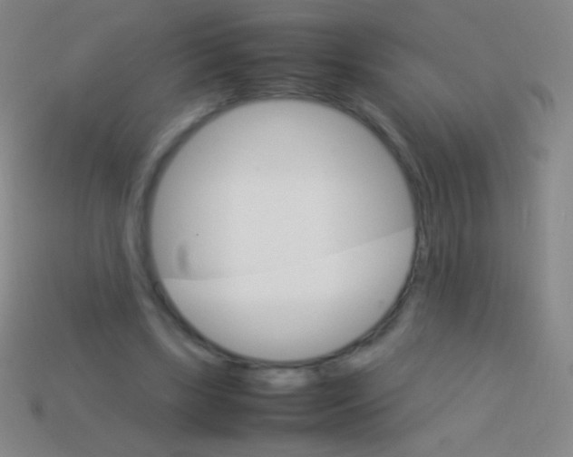 X0000113590443200910161846