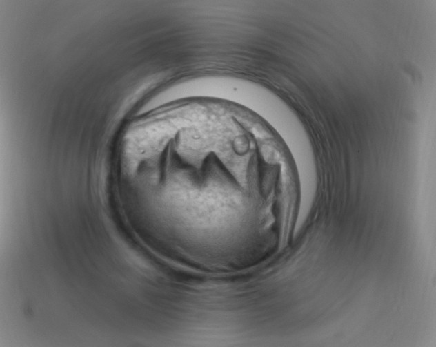 X0000113590444200910161846