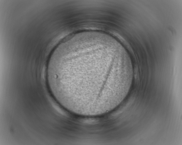 X0000113590445200910161846