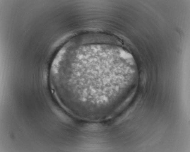 X0000113590446200910161846