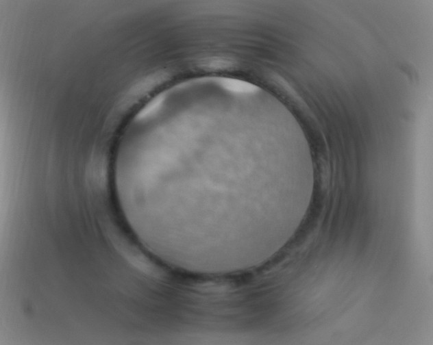 X0000113590447200910161846