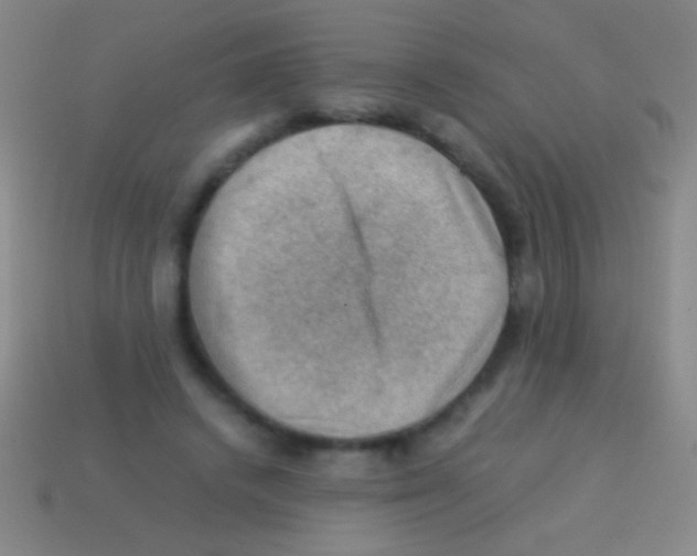 X0000113590448200910161846