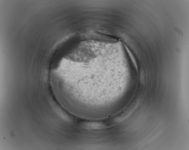 X0000113590449200910161847