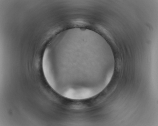 X0000113590451200910161847